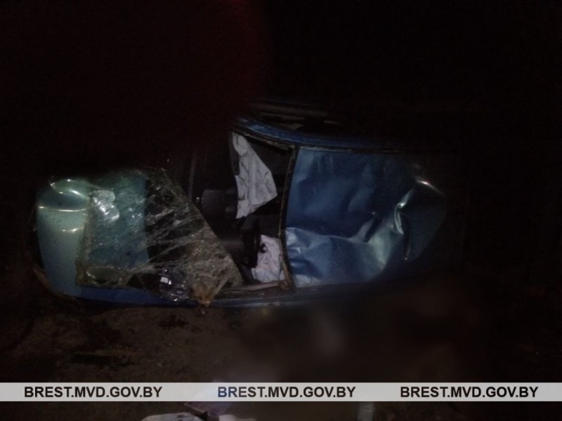 В Каменецком районе скончался водитель Citroen — подробности ДТП