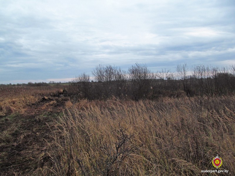 Родственники узнали о судьбе белоруса спустя пять лет после его исчезновения Родственники узнали о судьбе белоруса спустя пять лет после его исчезновения
