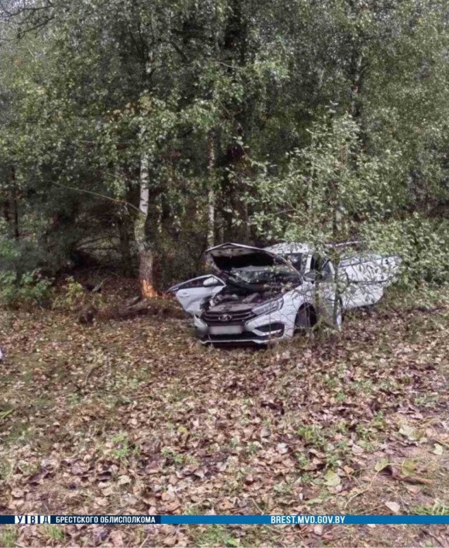 Водитель частной фирмы впервые сел за руль служебного авто и устроил смертельное ДТП под Брестом. Приговор