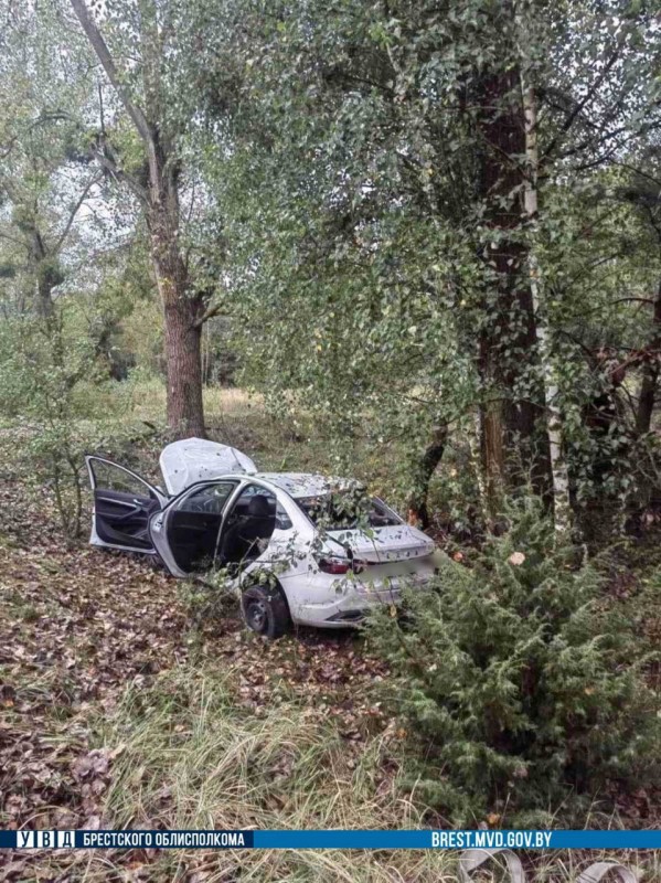 Водитель частной фирмы впервые сел за руль служебного авто и устроил смертельное ДТП под Брестом. Приговор