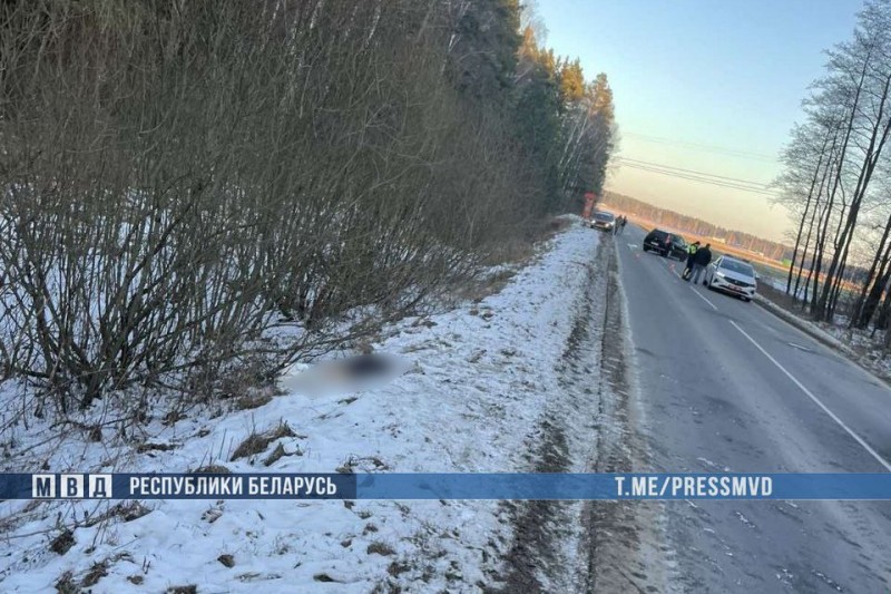 Ужасная трагедия произошла сегодня в Беларуси — в ДТП погибли три человека Ужасная трагедия произошла сегодня в Беларуси — в ДТП погибли три человека