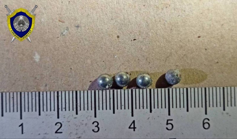 На пограничном столбе в Пружанском районе поврежден белорусский герб — возбуждено уголовное дело