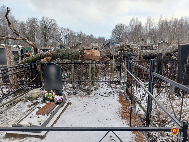 Молодой мужчина погиб на кладбище. Подробности Молодой мужчина погиб на кладбище. Подробности