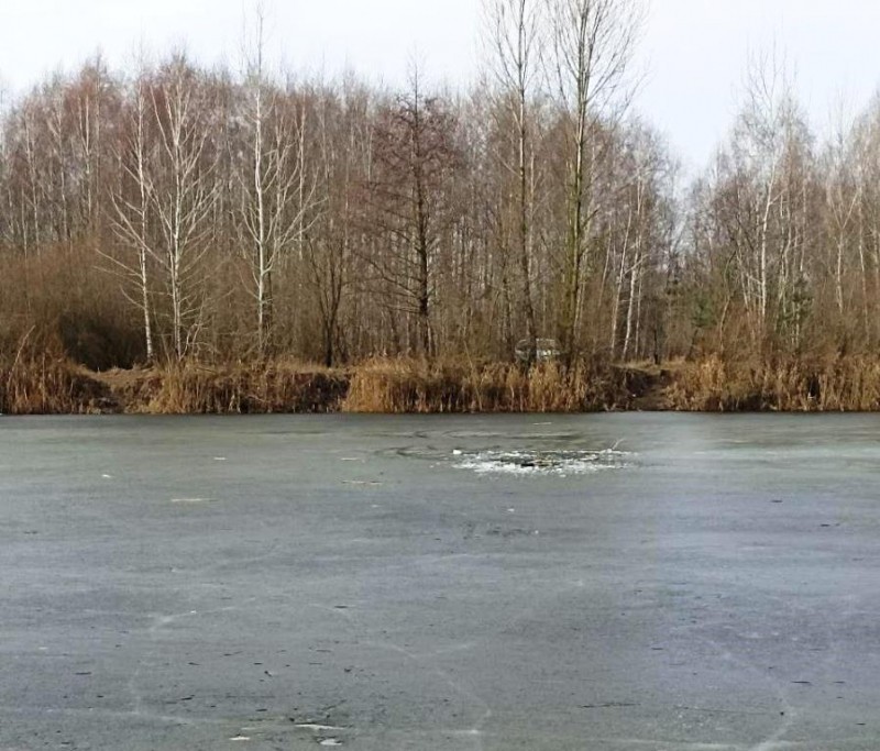 В Бресте спасли провалившегося под лед рыбака