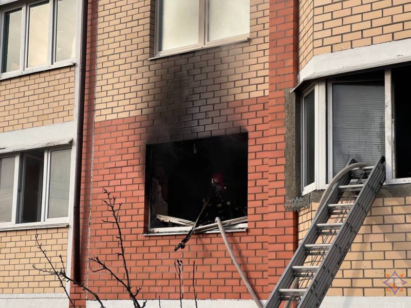 Работники МЧС спасли мужчину на пожаре в Брестском районе — видео и подробности