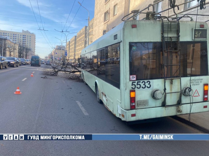 Троллейбус с пассажирами снес дерево в Минске — это попало на видео Троллейбус с пассажирами снес дерево в Минске — это попало на видео