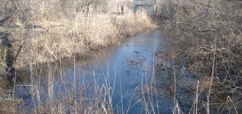 В Бресте в водоёме обнаружен труп мужчины В Бресте в водоёме обнаружен труп мужчины