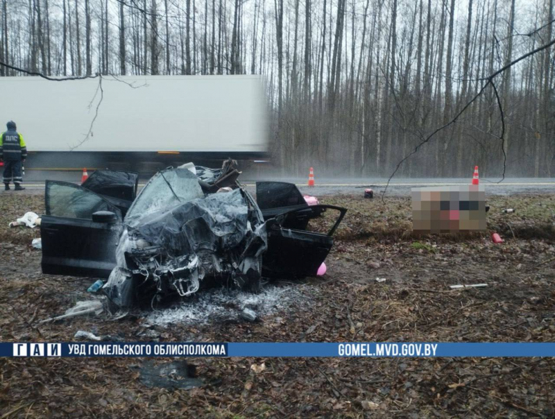 Лось выбежал на трассу: жесткое ДТП унесло жизнь молодого водителя Лось выбежал на трассу: жесткое ДТП унесло жизнь молодого водителя