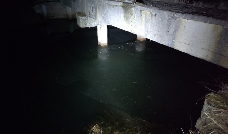 Поездка на природу обернулась трагедией. Подробности ДТП в Лунинецком районе