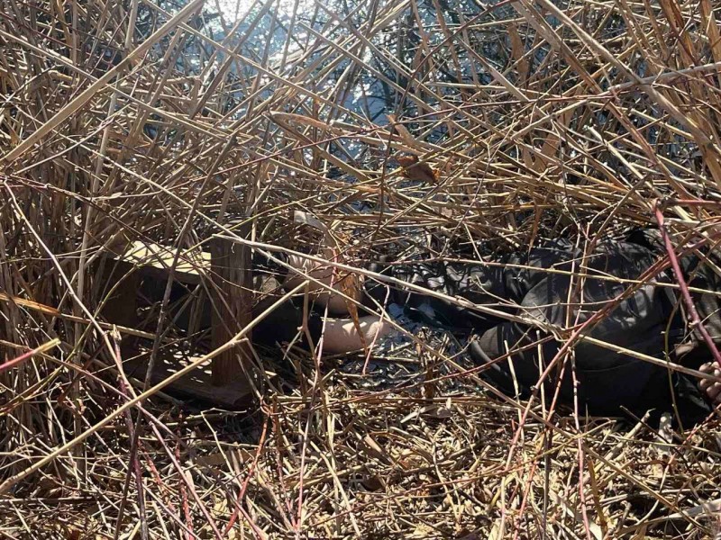 В Бресте в водоёме обнаружен труп мужчины В Бресте в водоёме обнаружен труп мужчины