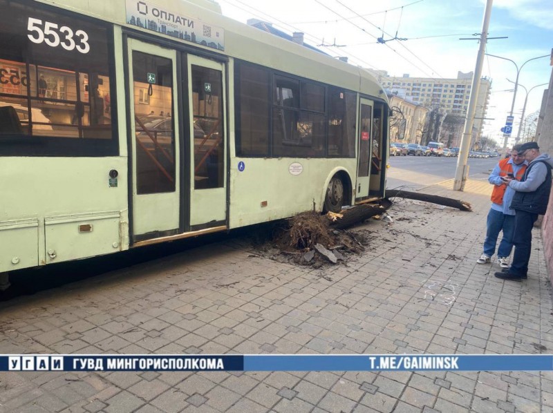 Троллейбус с пассажирами снес дерево в Минске — это попало на видео Троллейбус с пассажирами снес дерево в Минске — это попало на видео