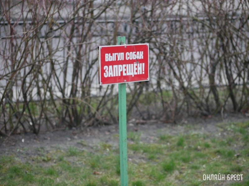 Белоруска повредила табличку во дворе дома. Коммунальщики решили наказать ее на 8,2 тысячи рублей