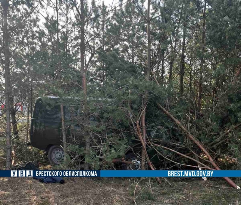 70-летний нетрезвый водитель устроил ДТП в Жабинковском районе 70-летний нетрезвый водитель устроил ДТП в Жабинковском районе
