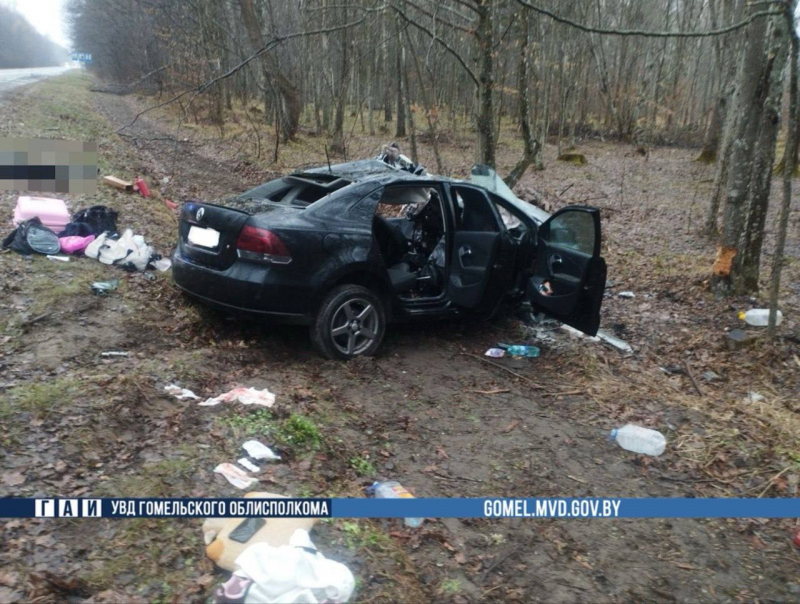 Лось выбежал на трассу: жесткое ДТП унесло жизнь молодого водителя Лось выбежал на трассу: жесткое ДТП унесло жизнь молодого водителя