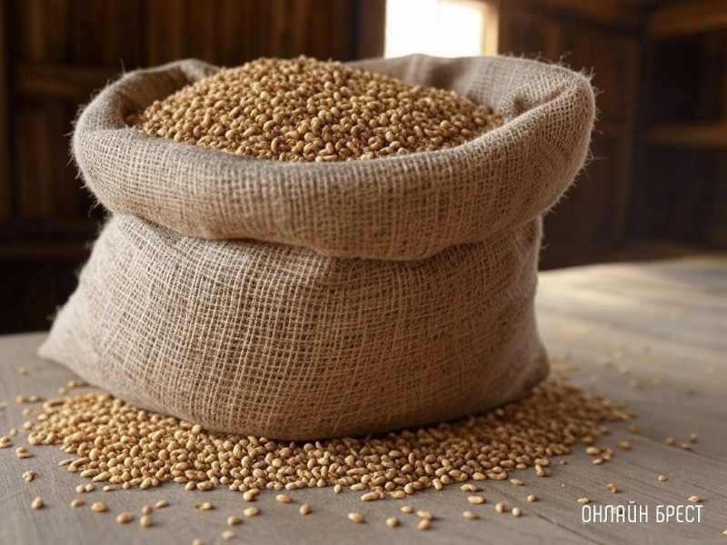 В Пинском районе сотрудник госпредприятия пытался украсть почти 200 кг зерна — пресекли инспекторы ГАИ В Пинском районе сотрудник госпредприятия пытался украсть почти 200 кг зерна — пресекли инспекторы ГАИ