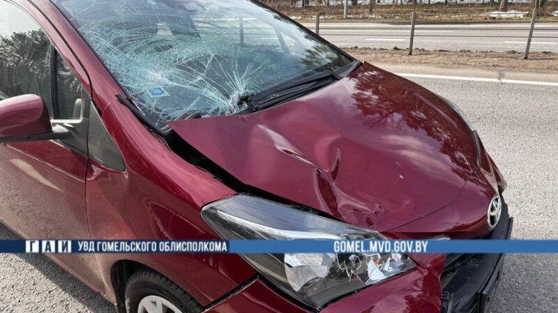 В Гомеле девочка пропала из продленки, а нашлась в реанимации больницы В Гомеле девочка пропала из продленки, а нашлась в реанимации больницы