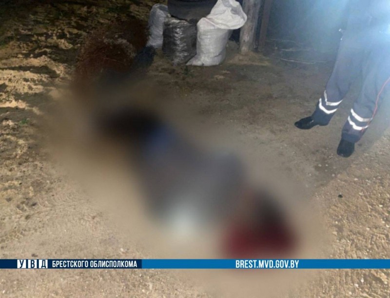 Пешехода насмерть переехали в Столинском районе — водитель скрылся