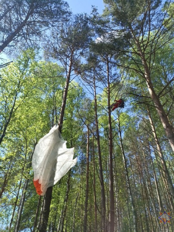 В Малоритском районе на дереве застряла парашютистка