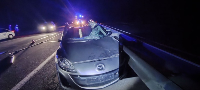 Серьёзное ДТП на трассе М1 в Брестской области: автомобиль врезался в дикое животное, водитель в больнице