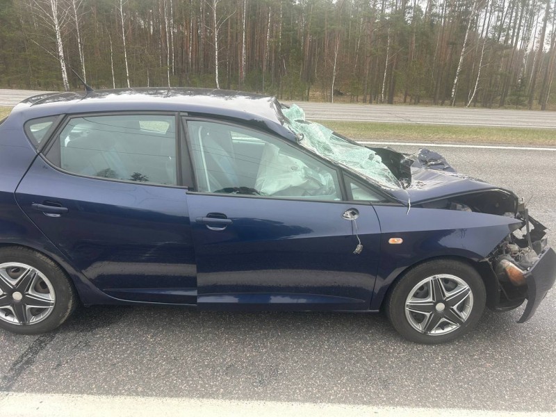 ДТП на трассе М1 в Брестской области: водитель Seat врезался в МАЗ ДТП на трассе М1 в Брестской области: водитель Seat врезался в МАЗ