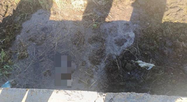 Лицом вниз в яме: в Лунинецком районе обнаружили тело мужчины Лицом вниз в яме: в Лунинецком районе обнаружили тело мужчины