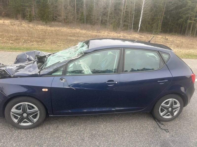 ДТП на трассе М1 в Брестской области: водитель Seat врезался в МАЗ ДТП на трассе М1 в Брестской области: водитель Seat врезался в МАЗ