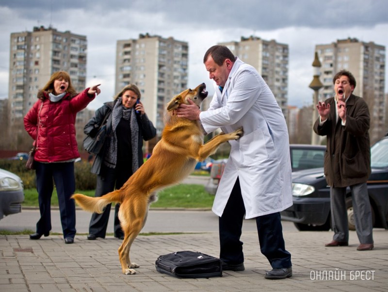 В Бресте собака напала на медика В Бресте собака напала на медика