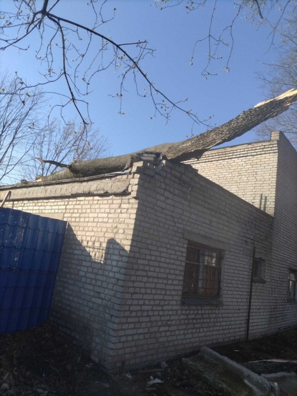 В детском саду на ребенка упала ветка. Вот какую травму он получил В детском саду на ребенка упала ветка. Вот какую травму он получил