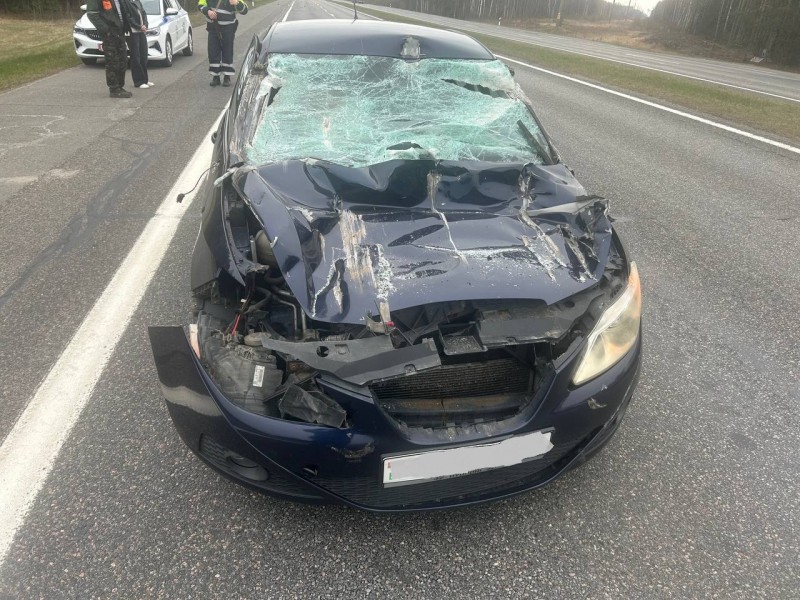 ДТП на трассе М1 в Брестской области: водитель Seat врезался в МАЗ ДТП на трассе М1 в Брестской области: водитель Seat врезался в МАЗ