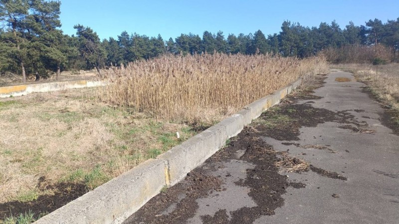 Лицом вниз в яме: в Лунинецком районе обнаружили тело мужчины Лицом вниз в яме: в Лунинецком районе обнаружили тело мужчины
