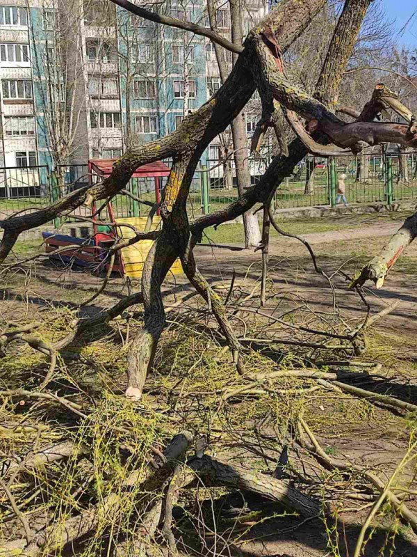 В детском саду на ребенка упала ветка. Вот какую травму он получил В детском саду на ребенка упала ветка. Вот какую травму он получил