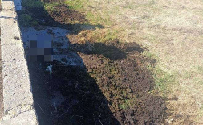 Лицом вниз в яме: в Лунинецком районе обнаружили тело мужчины Лицом вниз в яме: в Лунинецком районе обнаружили тело мужчины