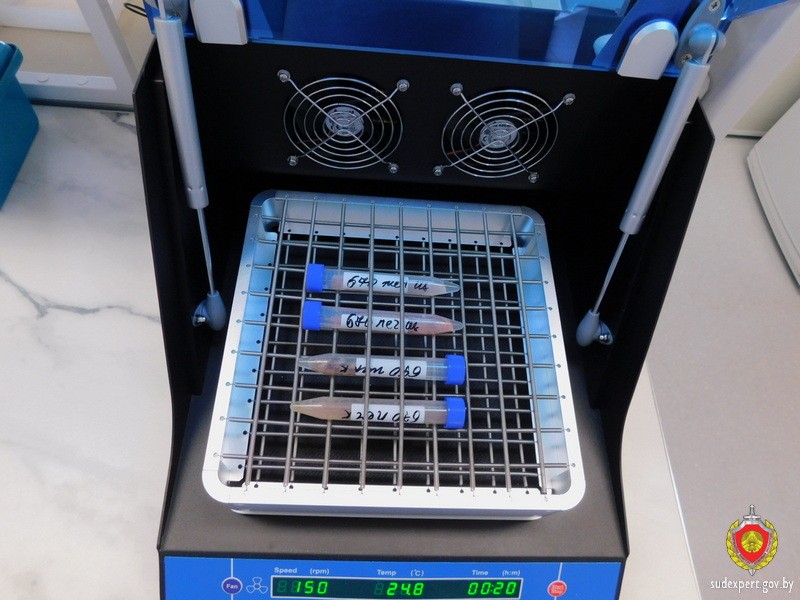 Смертельная бутылка: как метиловый спирт унес жизни двух мужчин