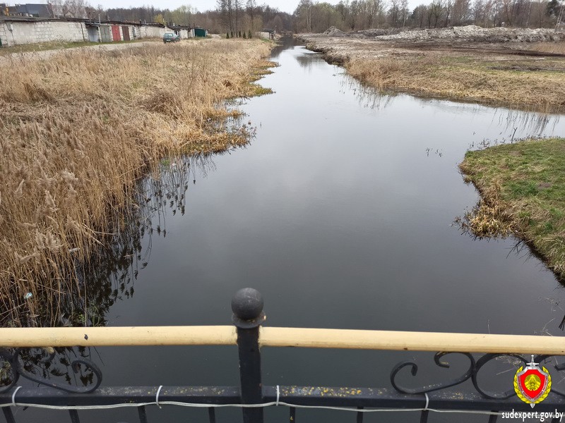 В Жабинке подросток вытянул из реки патроны