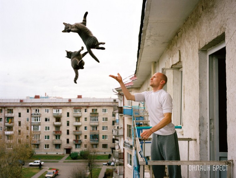 В Беларуси мужчина выбросил двух кошек с пятого этажа — подробности расследования В Беларуси мужчина выбросил двух кошек с пятого этажа — подробности расследования