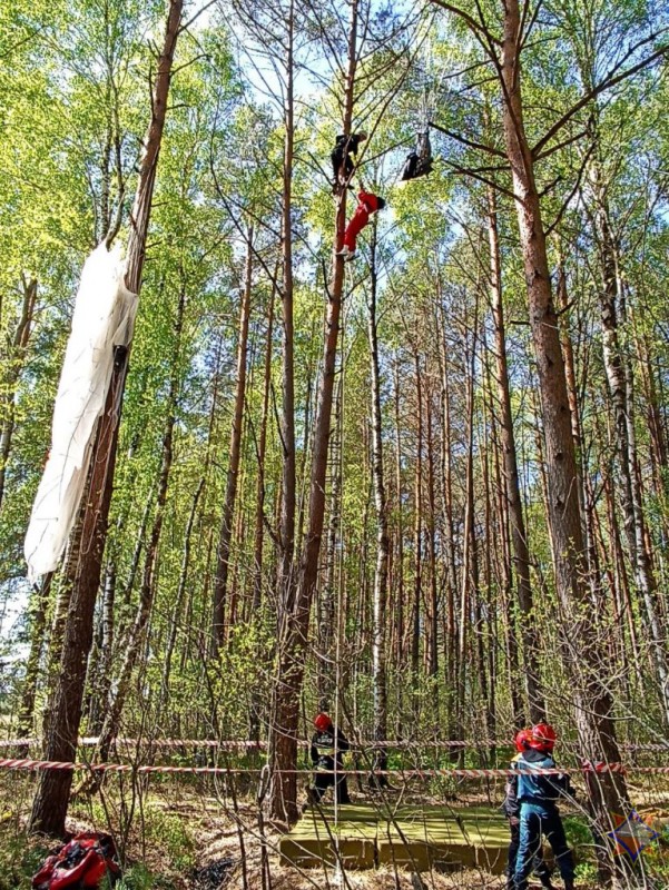 В Малоритском районе на дереве застряла парашютистка