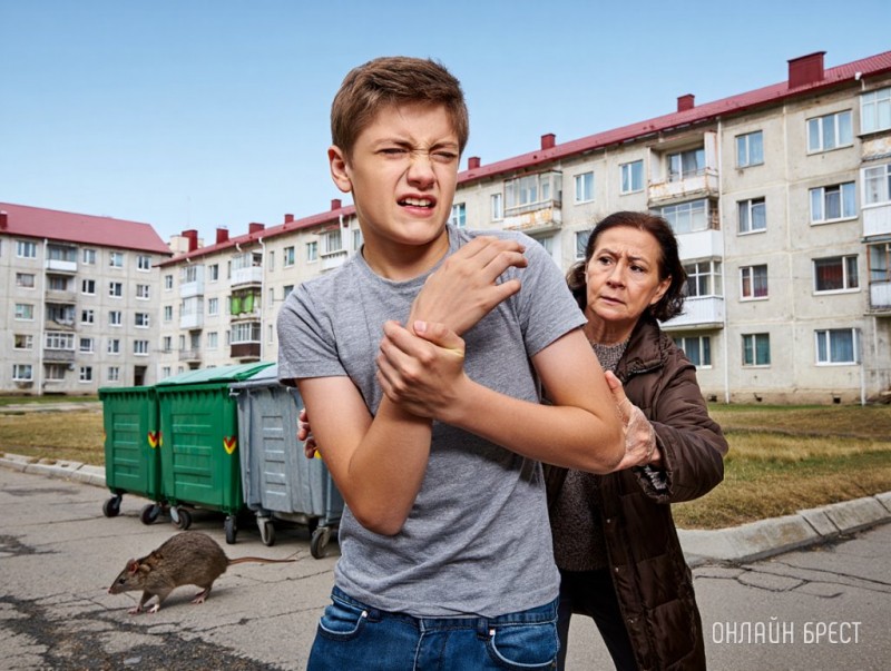 В Беларуси крыса укусила подростка во время квеста. Родители пошли в суд за моральной компенсацией В Беларуси крыса укусила подростка во время квеста. Родители пошли в суд за моральной компенсацией