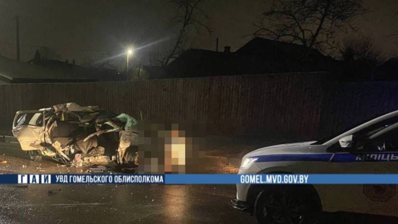 Водителя Volkswagen осудили на 7 лет за аварию, в которой погибла его жена Водителя Volkswagen осудили на 7 лет за аварию, в которой погибла его жена