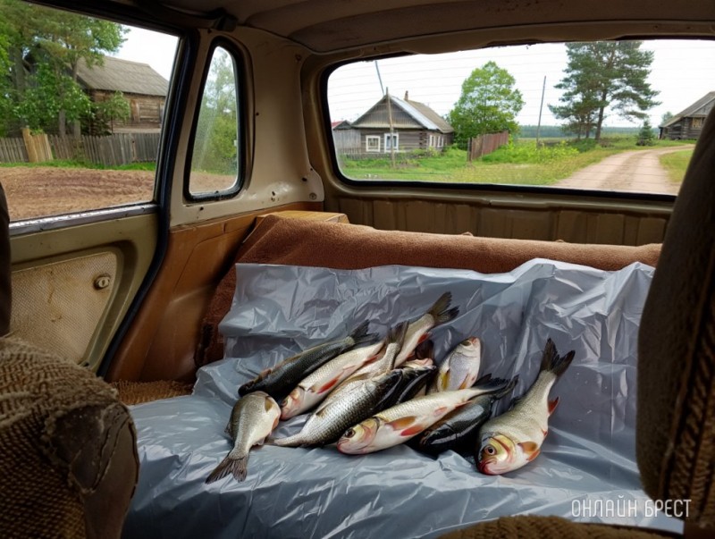 Двум жителям Брестской области рыбалка обошлась почти в 10 000 рублей Двум жителям Брестской области рыбалка обошлась почти в 10 000 рублей