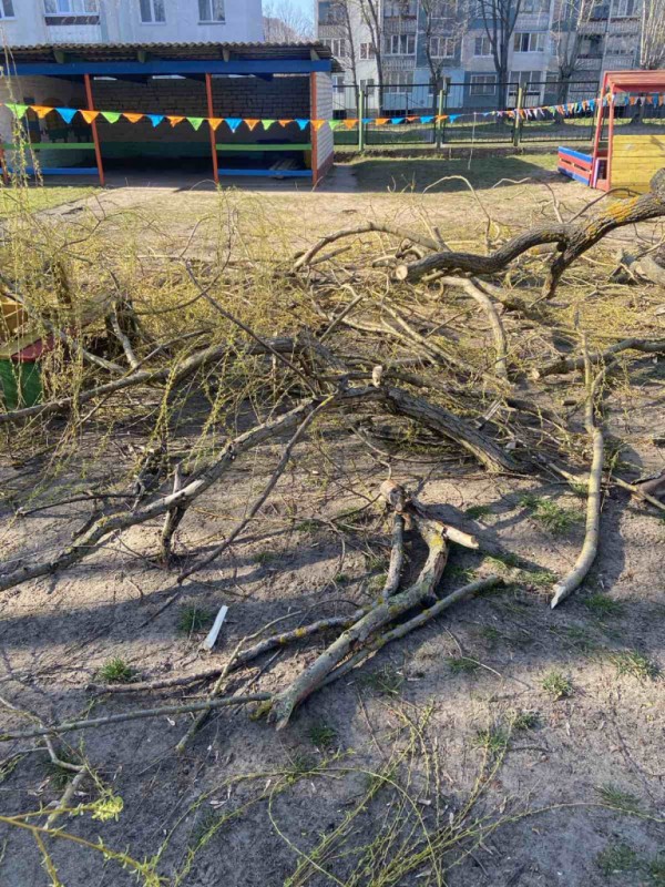 В детском саду на ребенка упала ветка. Вот какую травму он получил В детском саду на ребенка упала ветка. Вот какую травму он получил