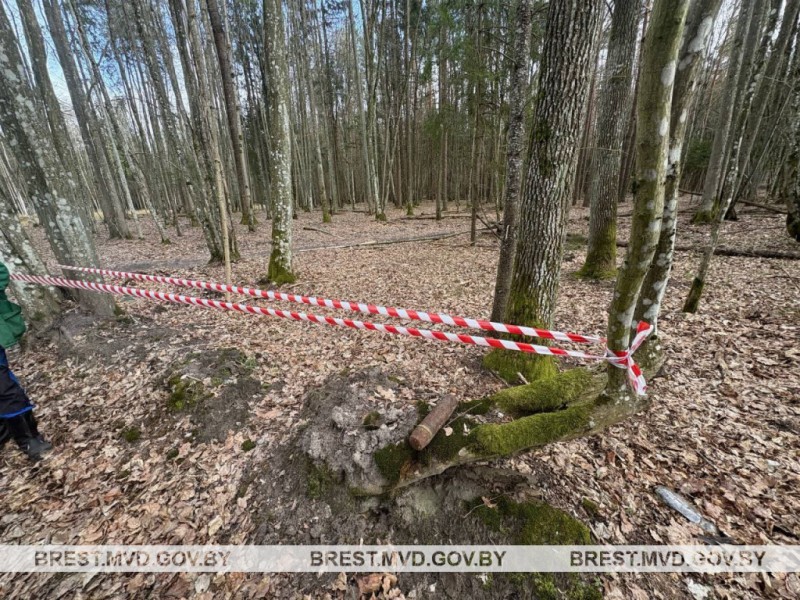 Опасная находка: в лесах Березовского и Ивацевичского районов обнаружили снаряды времен ВОВ Опасная находка: в лесах Березовского и Ивацевичского районов обнаружили снаряды времен ВОВ