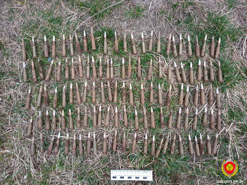 В Жабинке подросток вытянул из реки патроны