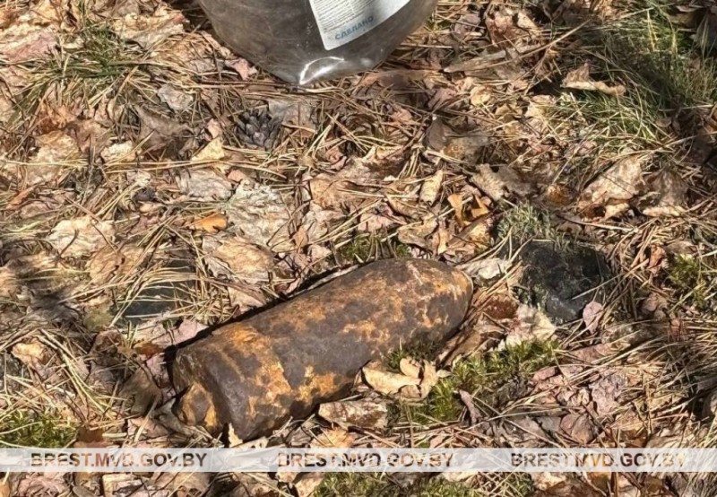 Опасная находка: в лесах Березовского и Ивацевичского районов обнаружили снаряды времен ВОВ Опасная находка: в лесах Березовского и Ивацевичского районов обнаружили снаряды времен ВОВ