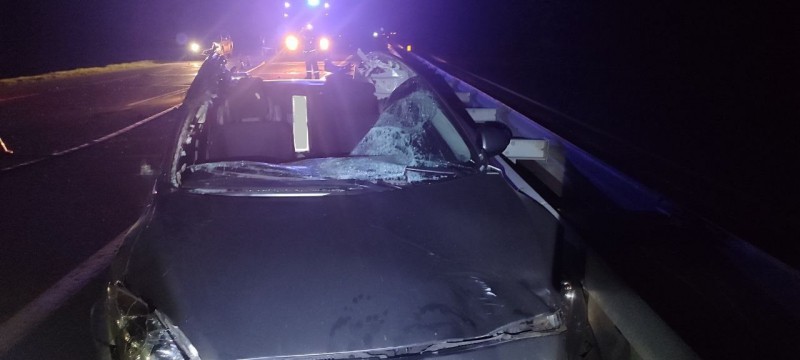 Серьёзное ДТП на трассе М1 в Брестской области: автомобиль врезался в дикое животное, водитель в больнице