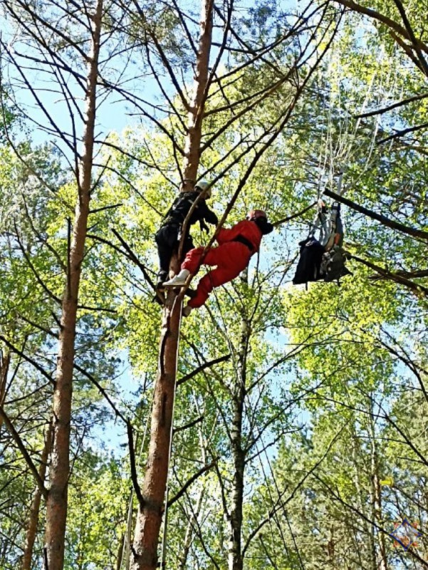 В Малоритском районе на дереве застряла парашютистка