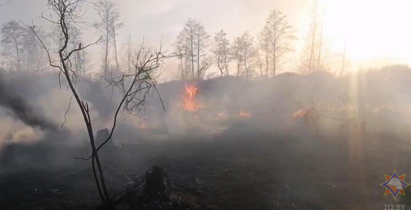 54 сброса воды с вертолетов: как тушили лесной пожар в Столинском районе 54 сброса воды с вертолетов: как тушили лесной пожар в Столинском районе