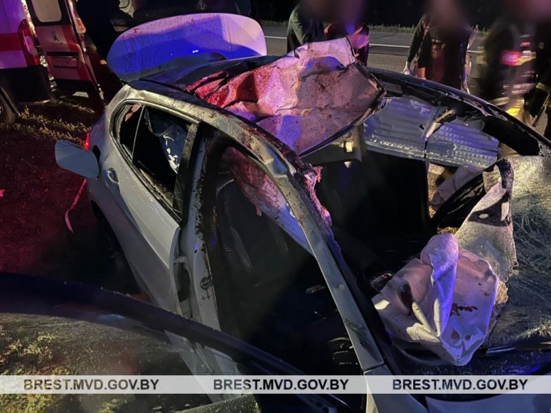 В Брестской области произошло серьезное ДТП: BMW столкнулся с лосем В Брестской области произошло серьезное ДТП: BMW столкнулся с лосем