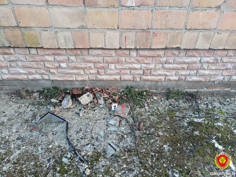 В Брестской области эксперты нашли преступника по капле крови