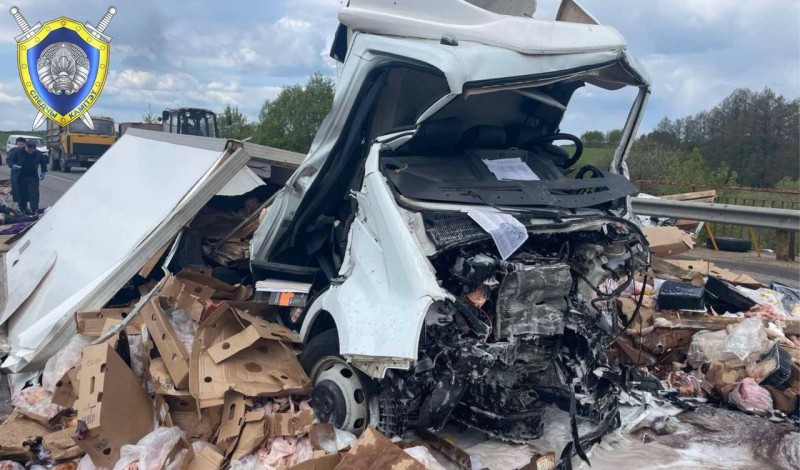 В Беларуси BMW сбил косулю и перевернулся