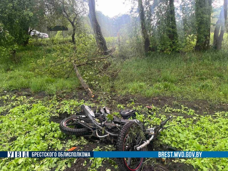 В Ивацевичском районе мотоциклист врезался в дерево